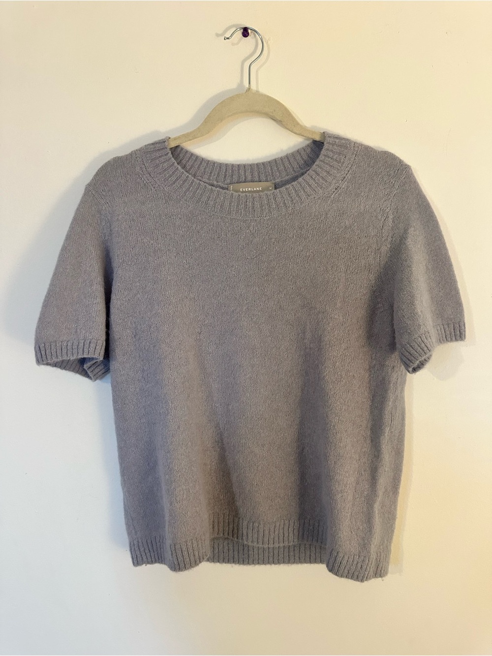 Everlane Short Sleeve Crewneck Sweater